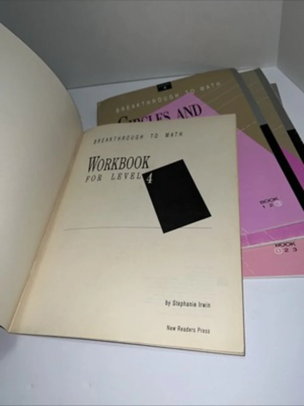 Breakthrough To Math Level 4 Set With Workbook (drawn On Back)